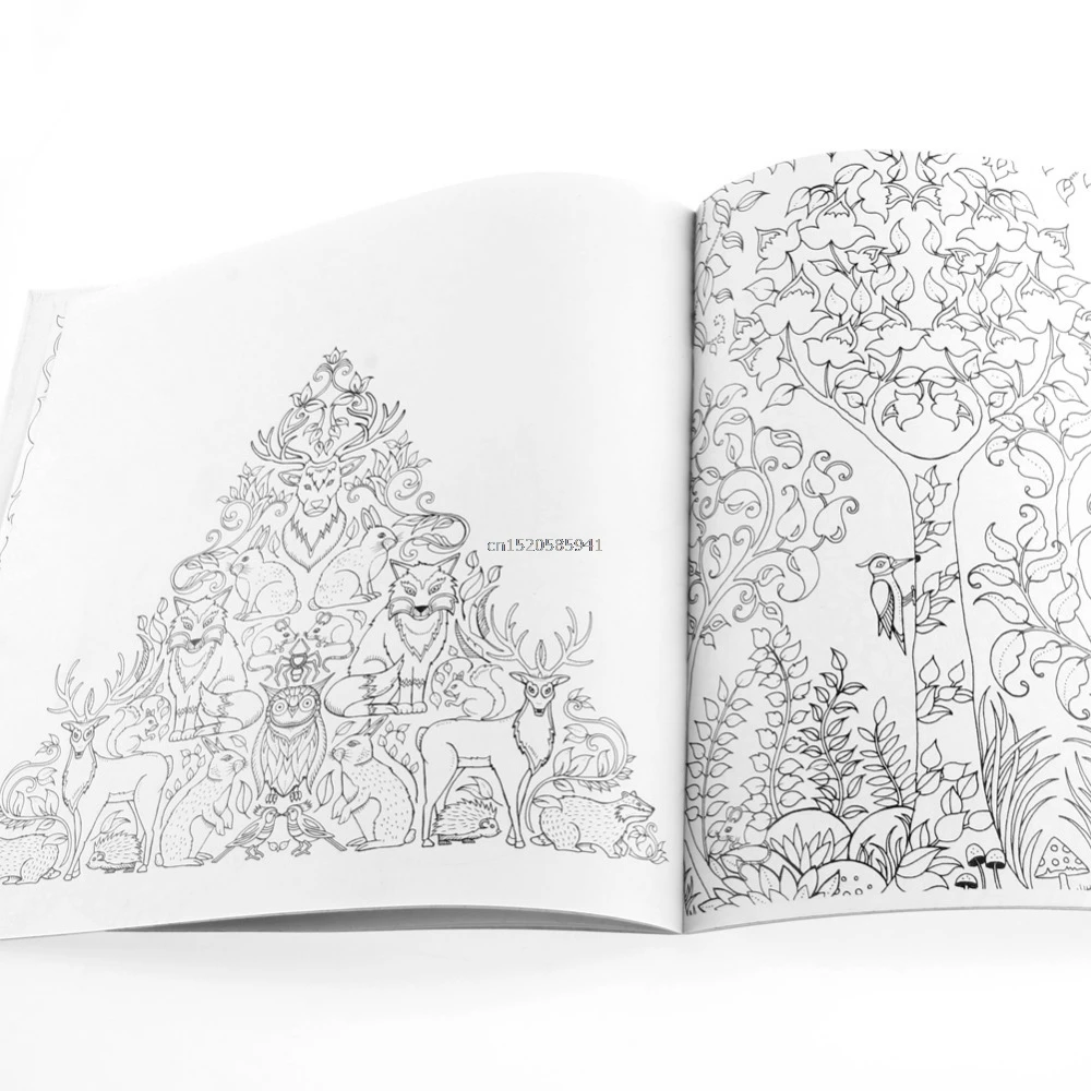 Английский взрослый тайна сад Охота сокровище раскраска книга|painting book|secret