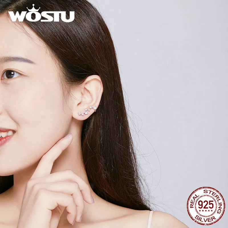 WOSTU 100% настоящие 925 пробы серебряные серьги-гвоздики Новые Прозрачные Серьги с 7