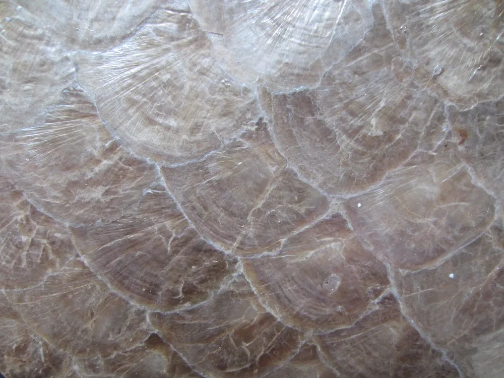 Оптовая торговля Золотой капис мебель панель acre роскошный материал для