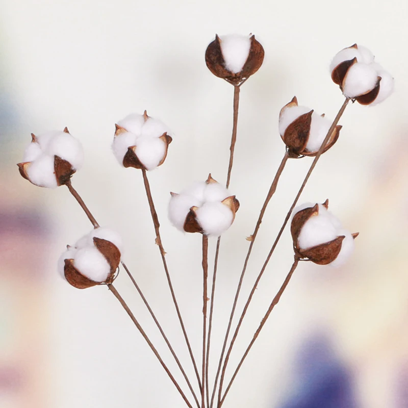 

10pcs/lot Dried Plant Artificial Cotton Flower New Simulation White Cotton Flower Holy Poetic Style Wedding Decoration for Home