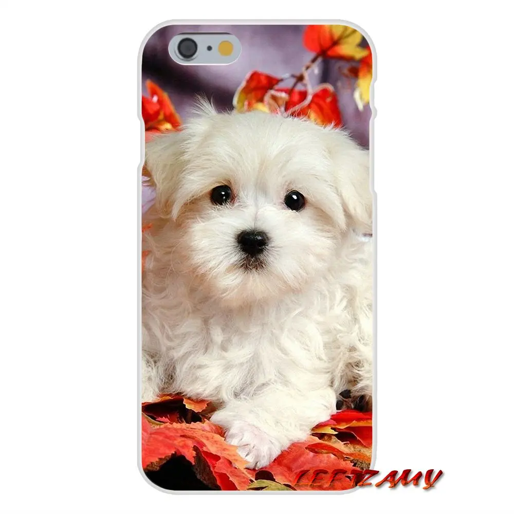 I Love My Maltese dog puppies аксессуары чехлы для телефонов Чехлы Huawei P Smart Plus Mate Honor 7A 7C 8C 8X 9 P10