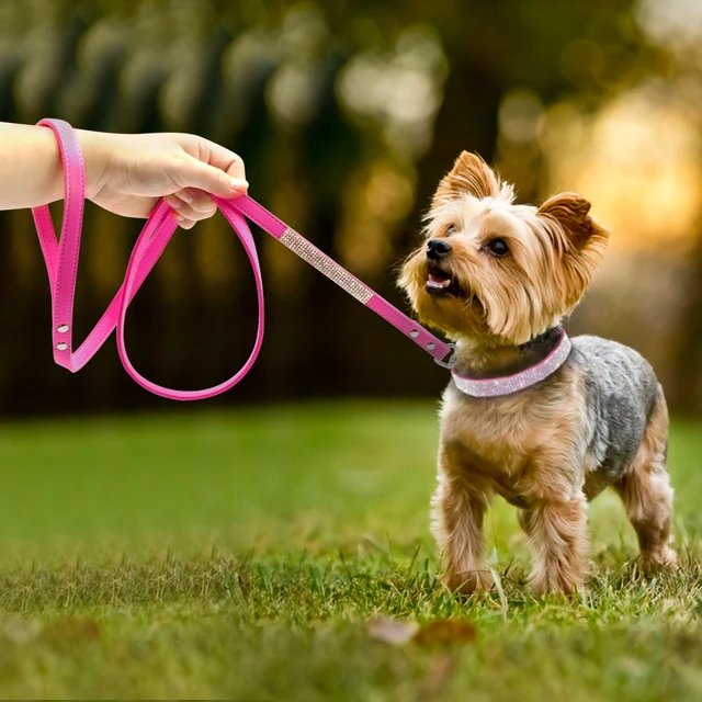 Fashion Rhinestone Dog Leash Pet Bling Shiny Cat Puppy Walking Leashes Lead For Small Dogs Cats Chihuahau Yorkshire Teddy 120cm 2