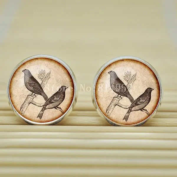 1 пара птиц Серьги античной ephemera ювелирные изделия стекло Кабошон B1409|earring korean|earring