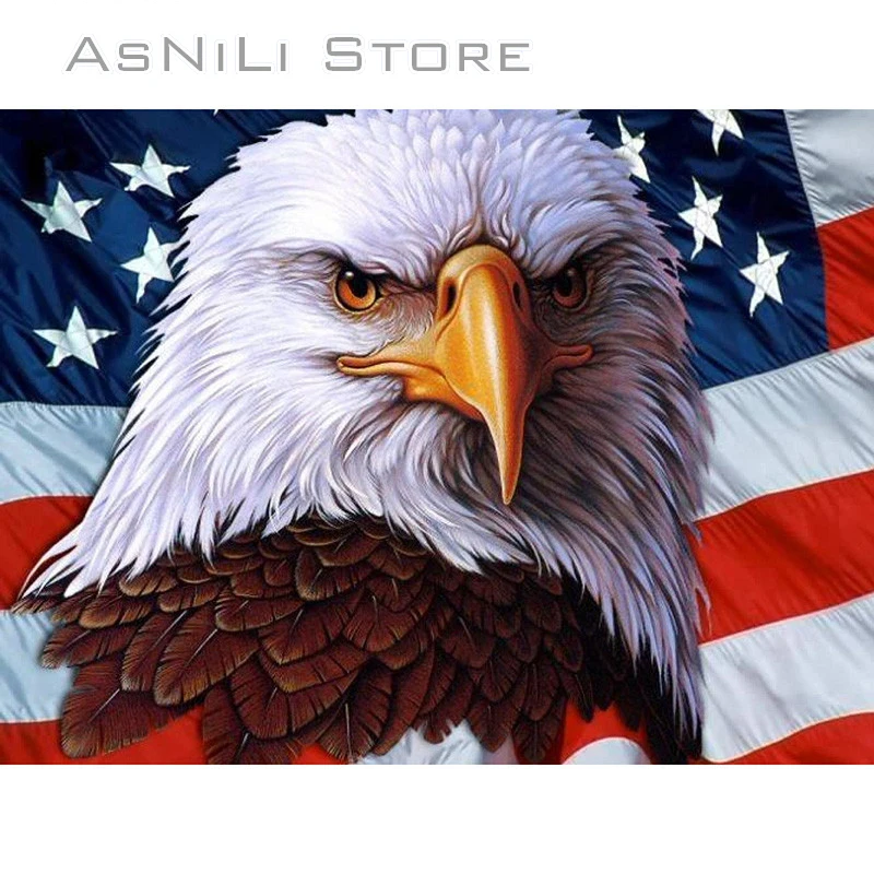 

5D DIY Diamond embroidery Flag and Eagle full Square diamond Painting Cross Stitch Rhinestone Mosaic decoration gift