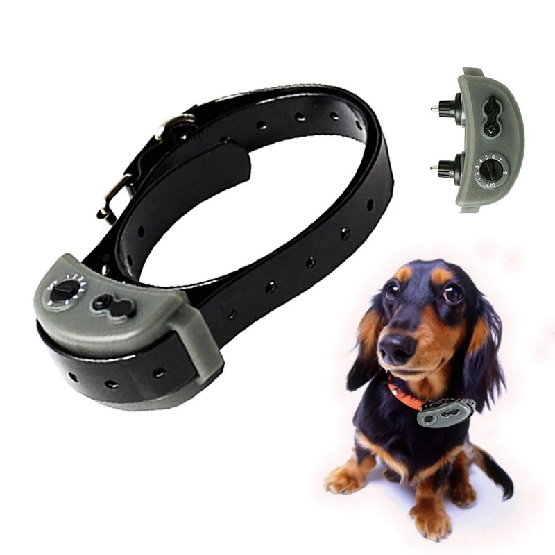 

Pet Products