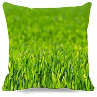green barley printed green square pillow case for car chair sofa home decorative cotton polyester