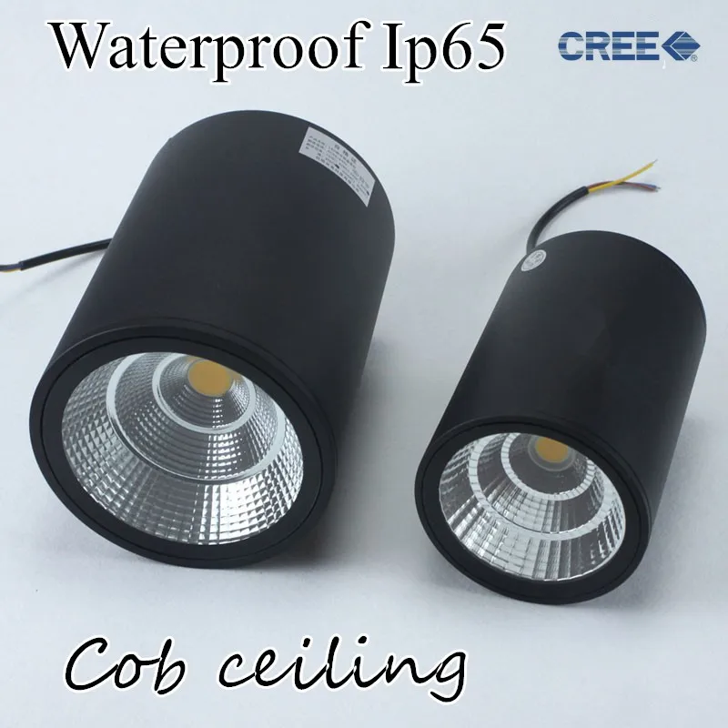 Светодиодный водонепроницаемый Ip65 COB Потолочный наружный поверхностный монтаж 12 Вт 20 Вт 30 Вт AC85-265V теплый белый светодиодный светильник для отеля вилла домашнее освещение