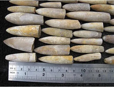 100 г натуральные Редкие образцы рыбы в виде стрелы|specimen| |