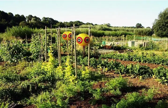 Отпугиватель птиц страшные воздушные шары для глаз насекомель предотвращает