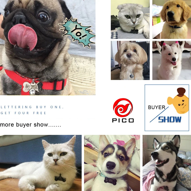 Бесплатная доставка с лазерной надписью аксессуары для собак маленьких