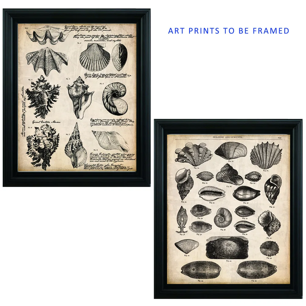 Винтажный seashell journal writing and Sea amusement художественные принты 16x20 дюймов 2 шт в 1 без
