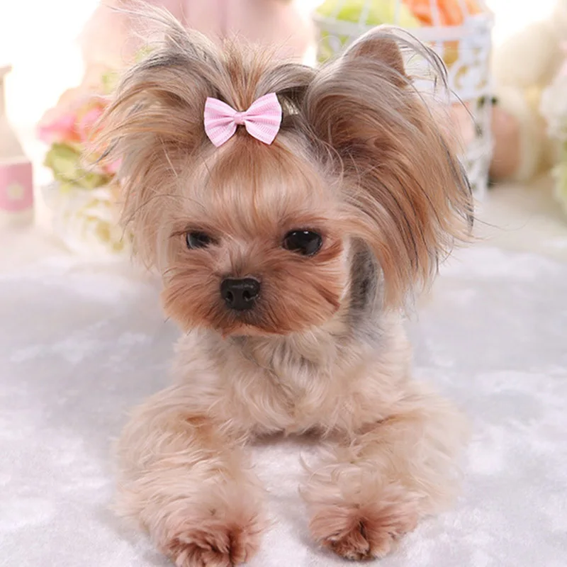 5 шт. заколки для волос собак милые товары ухода за кошкой и собакой с бантиками
