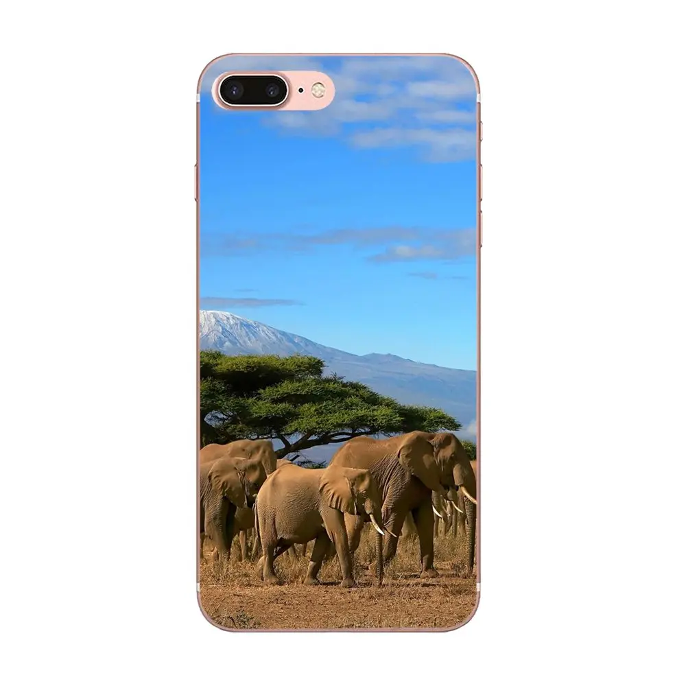 Мягкие чехлы для мобильных телефонов из ТПУ милый индийский слон Apple iPhone 4 4S 5 5C 5S SE
