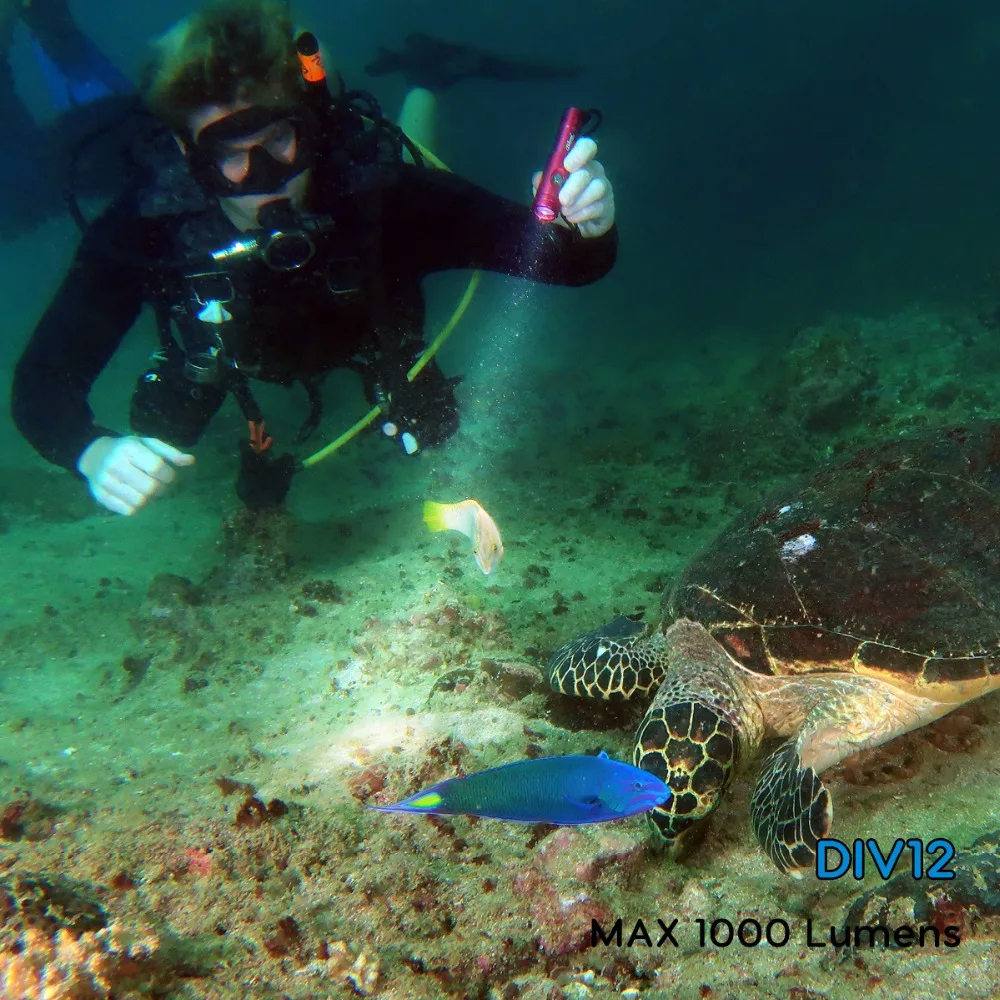 

Asafee DIV12S Backup Diving Torch Cree XM-L2 U4 LED Scuba Diving Flashlight Waterproof Diving Light Mini Underwater Dive Torch