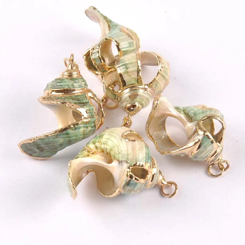 5 шт. позолоченные ракушки для украшения дома|Ракушки и морские звезды| |