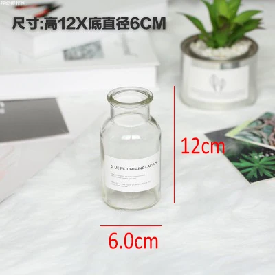 12x6cm Скандинавский стиль ретро прозрачная коричневая стеклянная бутылка спальня ваза Настольная Фотография аксессуары Студия фото фон Ornamen - Цвет: 12x6cm