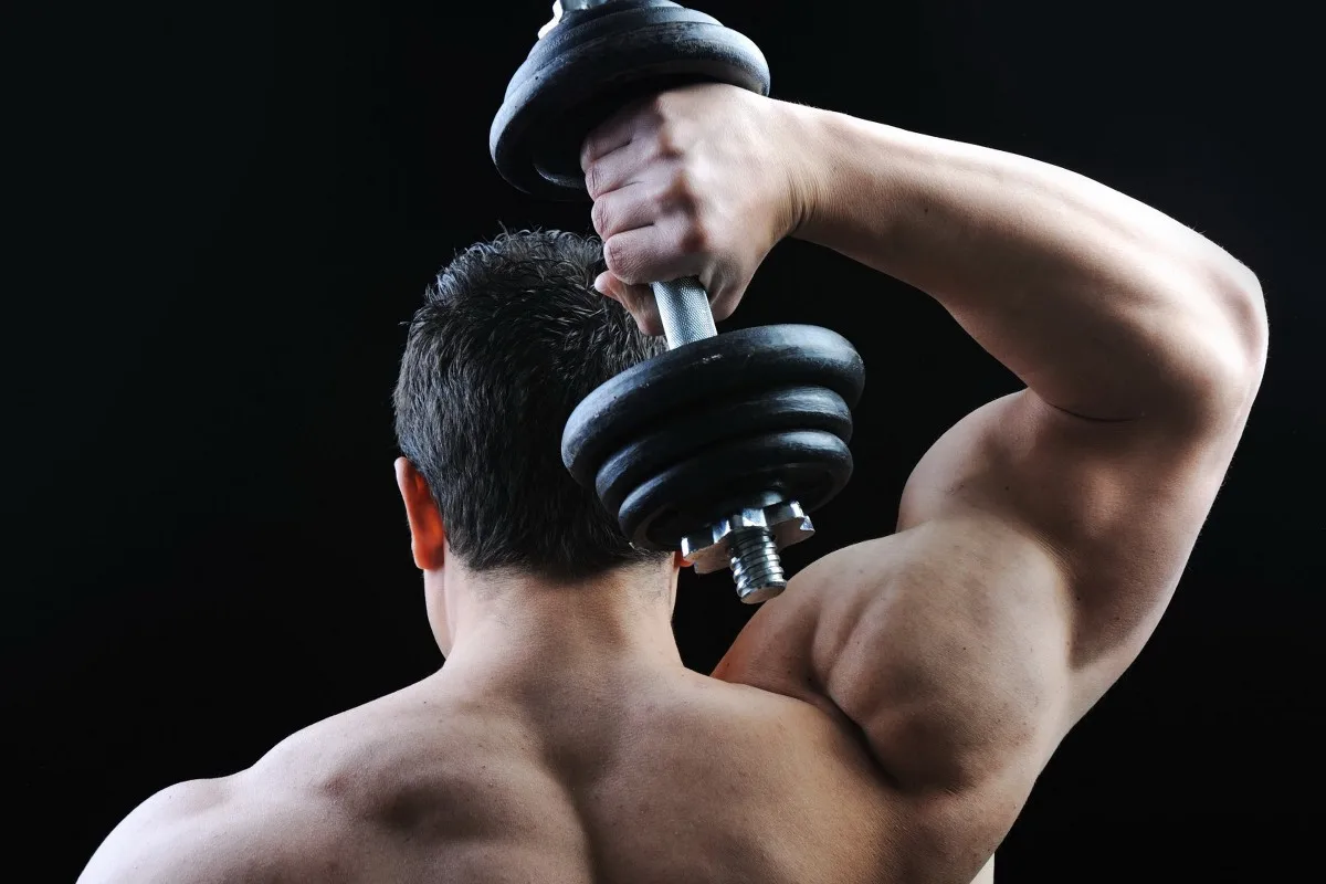 Канвасный постер с нарисованным рисунком (имеется рама) "Мышцы рук, бодибилдинг" TYR103 для декора стены, украшения комнаты дома.