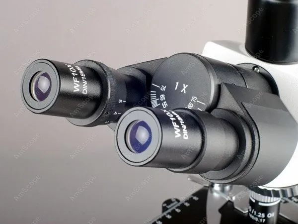 Лабораторный бинокль Колер составной Микроскоп поставка AmScope 40X 1600X лабораторный