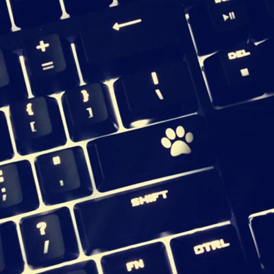 Black Cat claw ABS прозрачная подсветка Клавиша ввода s CS GO вишневые цветы Corsair razer Blizzard Cat коготь механическая клавиатура OEM клавишная крышка - Цвет: Black Cat claw