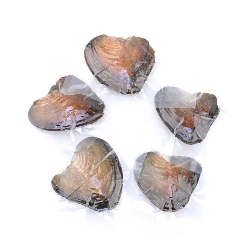 

Freshwater Vacuum-pack Oyster Wish Pearls, Pearl Mussel Shell with Pearl Inside