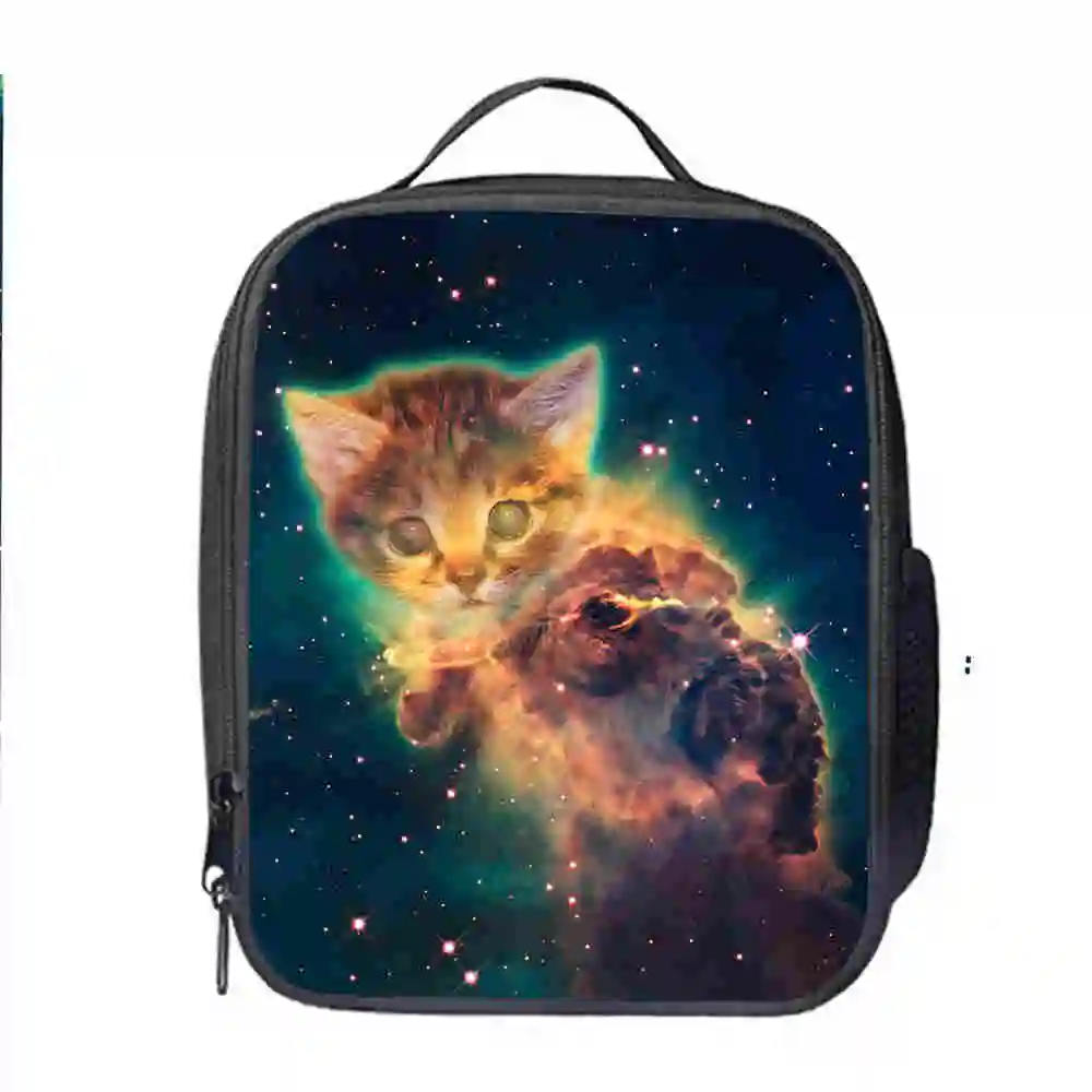 Cat сумки для ланча на заказ с Для женщин Для мужчин подростков мальчиков и девочек для детей школьного возраста, изолированный охладитель тотализатор коробки - Цвет: 055CB3