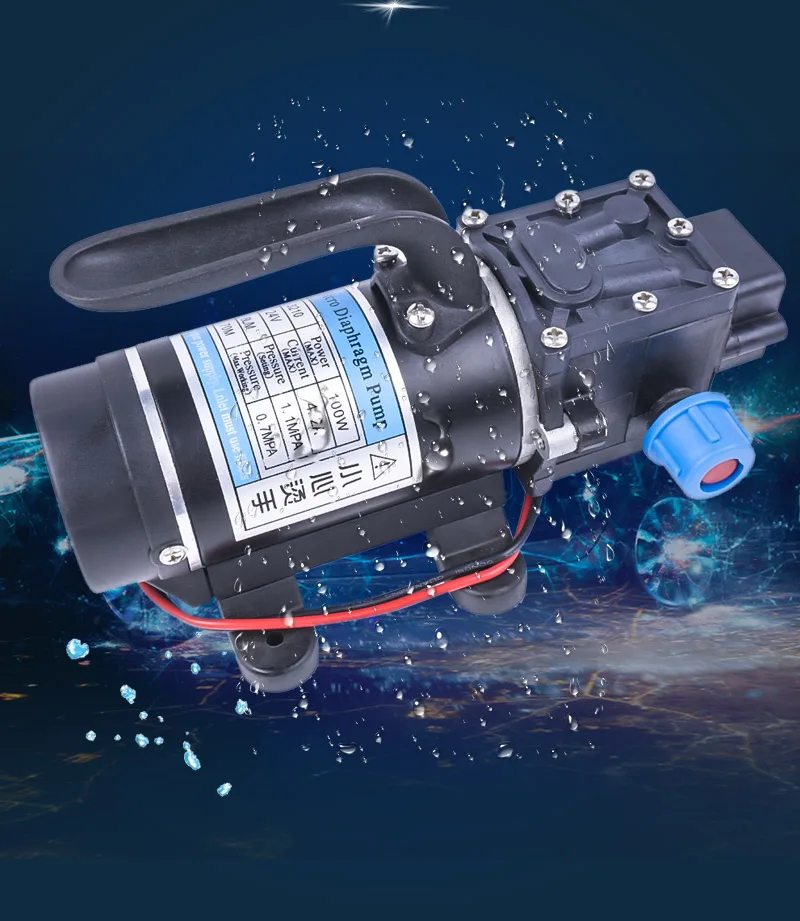DC 12V 24V 100W 130PSI 10L/мин воды высокой Давление мембранный насос из нержавеющей стали самовсасывающий рефлюксный насос с автоматическим переключателем для Садовый вагон