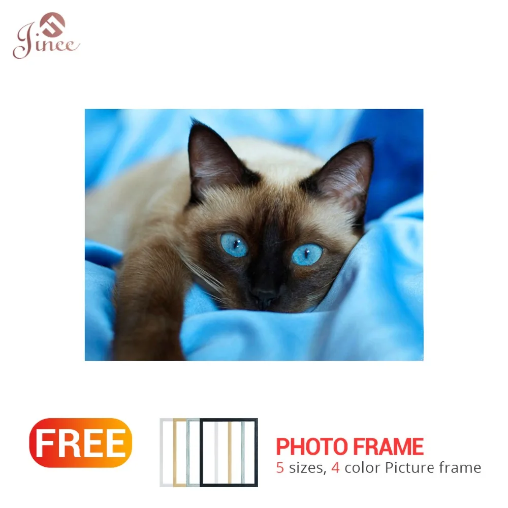 

Алмазная 5D Вышивка «сделай сам», животное, кот, алмазная вышивка крестиком, полная круглая Стразы 2019, украшение для дома, подарок