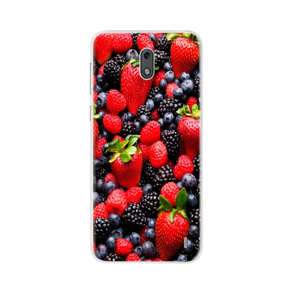 Мягкий чехол для телефона Nokia 2 прозрачный силикон ТПЭ бампер для Nokia 2 задняя крышка Nokia2 TA-1029 TA-1035 милые чехлы с принтом