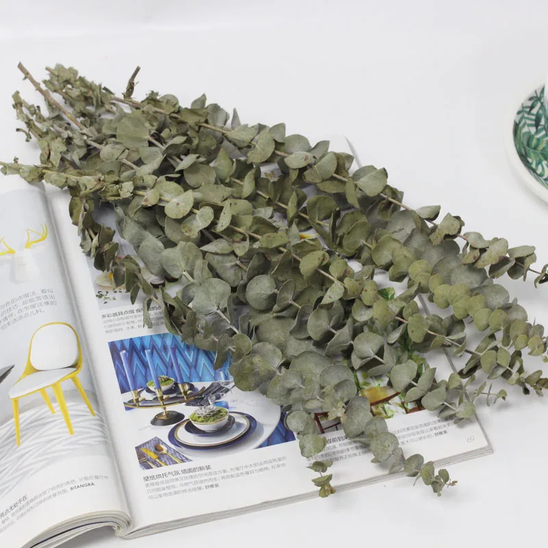 10 шт./лот натуральный сушеный на воздухе эвкалипт букет цветов Рождественский