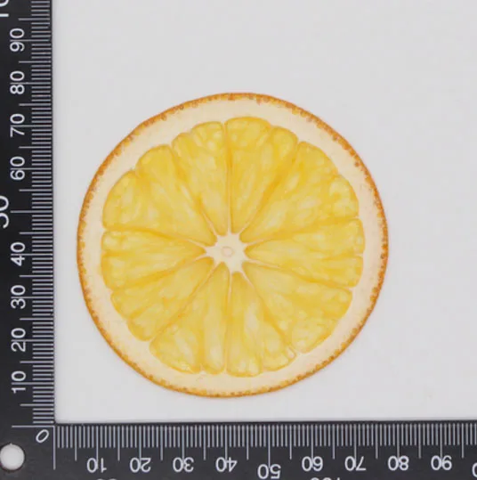 Orange 10 шт прессованный высушенный фруктовый ломтик гербарий из растений для ювелирных изделий открытка с пригласительным билетом чехол для телефона Закладка рукоделие Изготовление DIY - Цвет: Orange