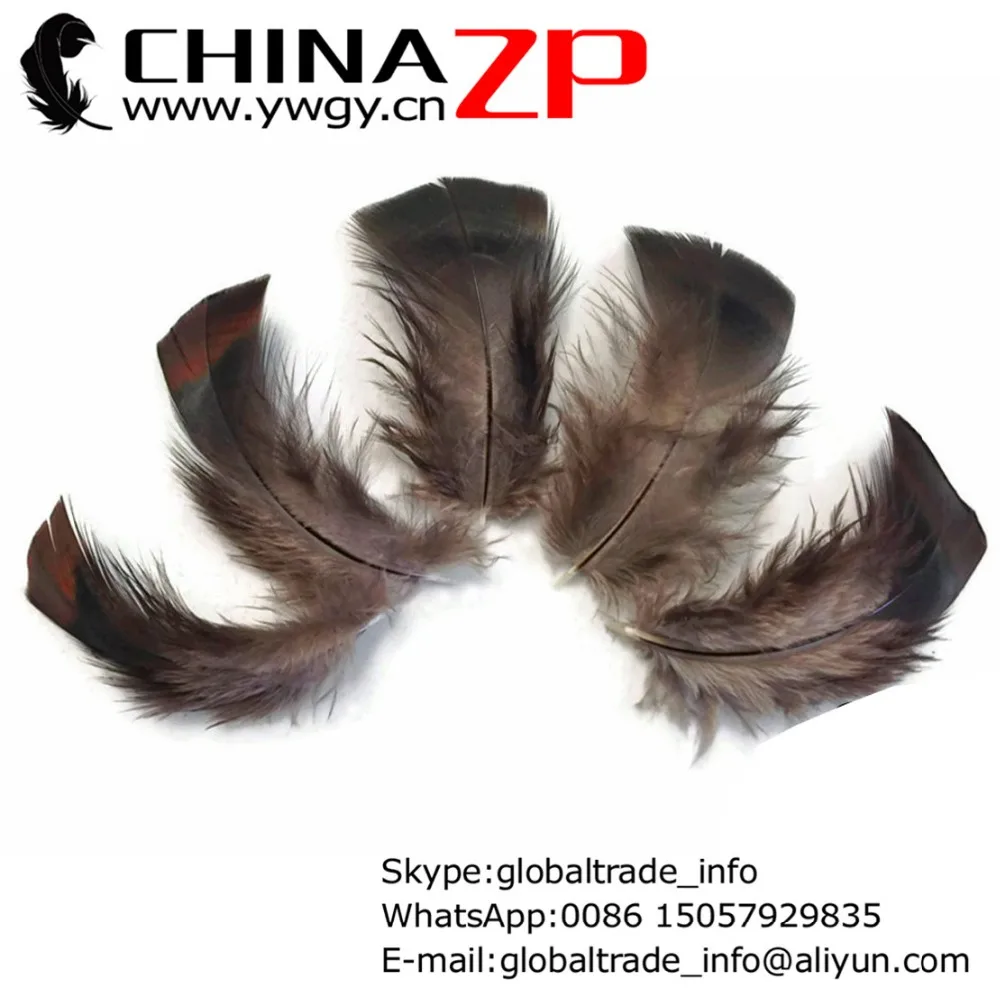

CHINAZP Factory 500pcs/lot Good Quality Wild Black Turkey Fluff Flat T-Base Body Plumage Feathers for Party Decoration