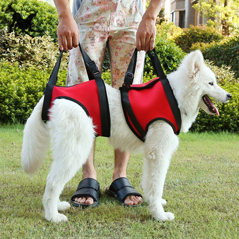 ERPPET ПЭТ аксессуары портативный собака Лифты поддержка вспомогательный ремень