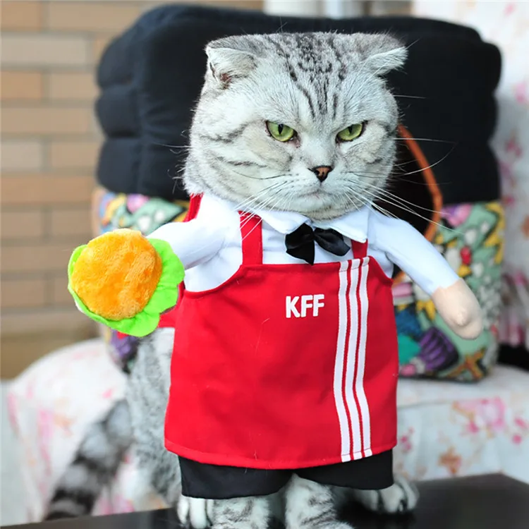 Костюмы для кошек, забавные наряды для кошек, костюмы доктора, медсестры, полицейского, пирата, ковбоя, гонщика, KFF официанта, наряды для Хэллоуина, Товары для кошек - Цвет: KFF  Waiter