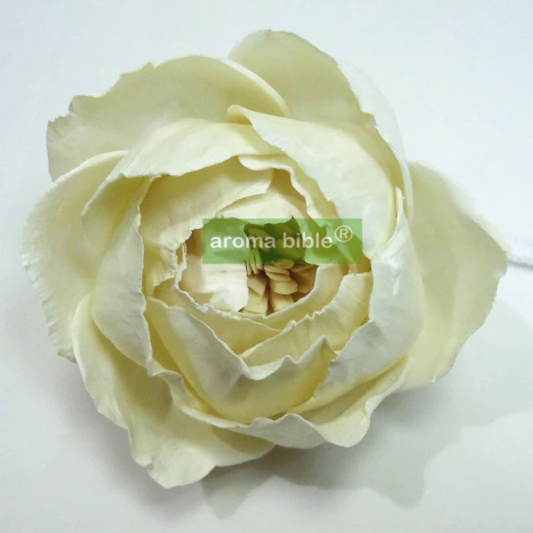 

1000 pcs /lot Handmade sola wood flowers for fragrance diffuser and home decor with 12cm Rope or rattan reed sticks Top quality