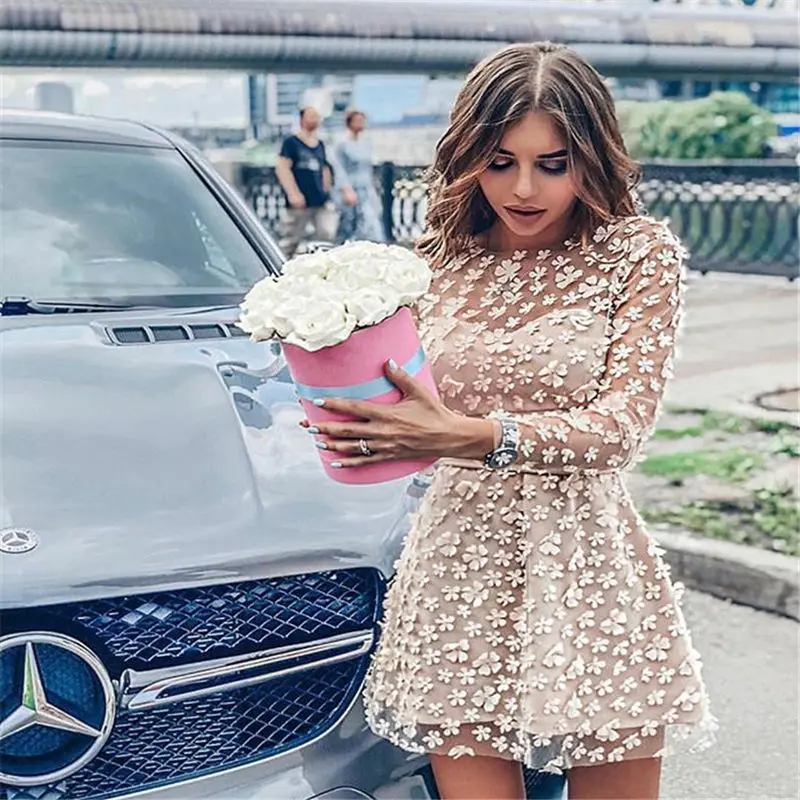 Мини-платье Летнее прозрачное с круглым вырезом и вышивкой 2019 | Женская одежда