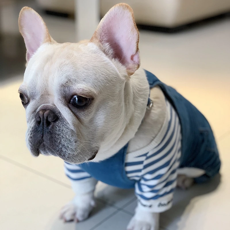 [MPK Dog denim Комбинезоны] джинсовые комбинезоны для собак, джинсы для собак подходят для французских бульдогов, джинсы для собак Мопсов