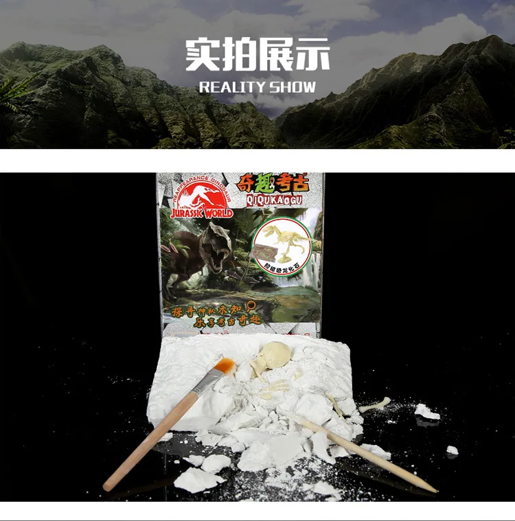 Trolltech Archaeological Creative DIY Archaeological Excavation Toy Assembled Version Reproduces Dinosaur Fossil Model Toys