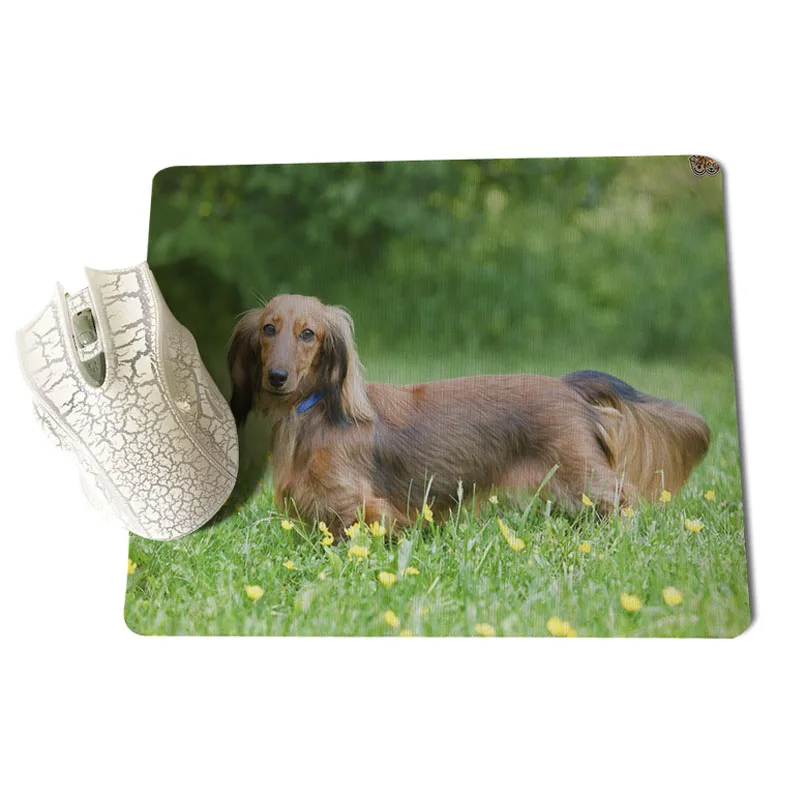 MaiYaCa Новое поступление Dachshung собака противоскользящие прочные силиконовые коврики размер для 180x220x2 мм и 250x290x2 мм маленький коврик для мыши - Цвет: 25X29cm