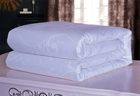1silk blanket1silk blanket2silk quilts aircondition for homewinter comforter brands white pink 100 silk blanket king colcha