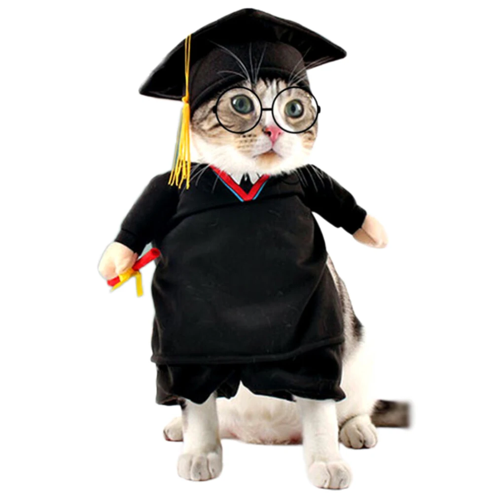 Забавный костюм PhD Cat для собак одежда на Хэллоуин Рождество косплея кошки| |