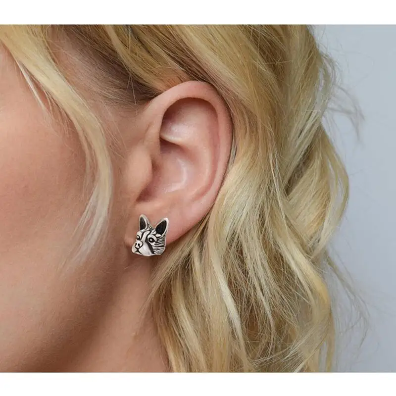 Панк Бостон Терьер И Французский бульдог шпилька в виде собаки серьги Brincos Lover для