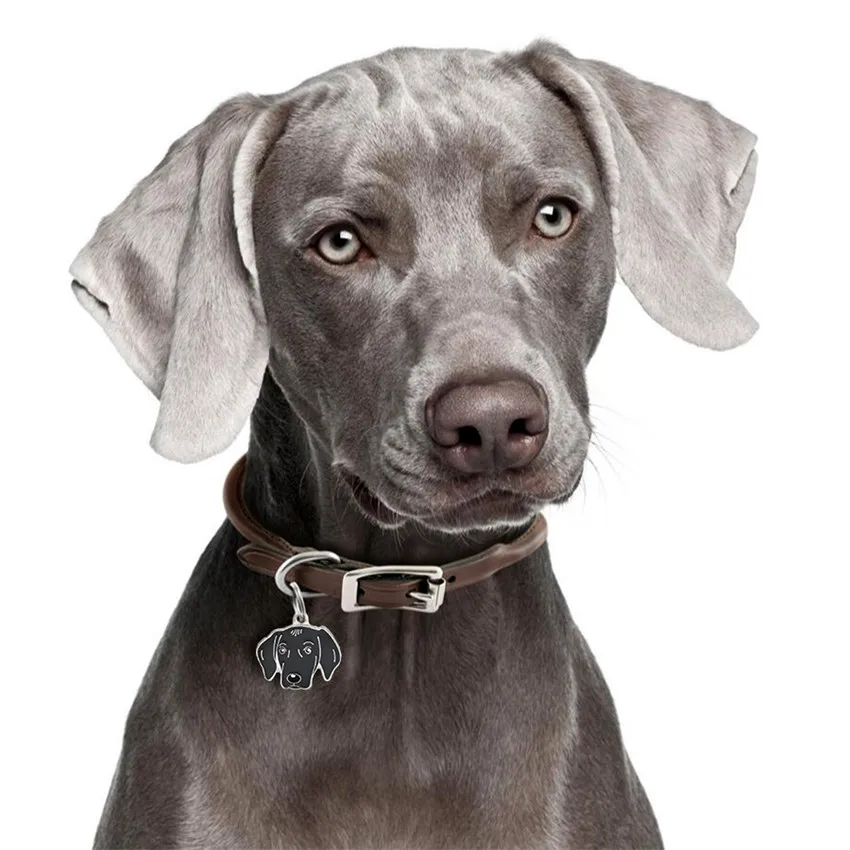 WEIMARANER Pet Подвеска для ожерелья собак повесить талисманы с 14 мм открытые кольца