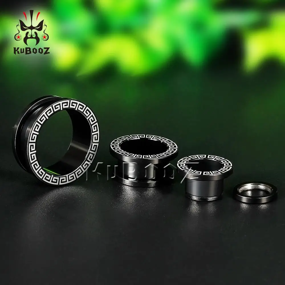 KUBOOZ 2PCS Ear Stretcher Piercing Tunnels Plugs Gauges Stainless Steel Earring Fashion Body Jewelry Gift 6mm to 25mm Women Men