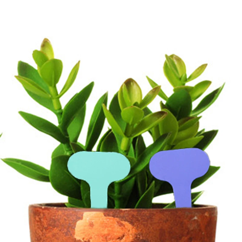 200 шт. пластиковые этикетки и садовые цветы бонсай питомник идентификационные