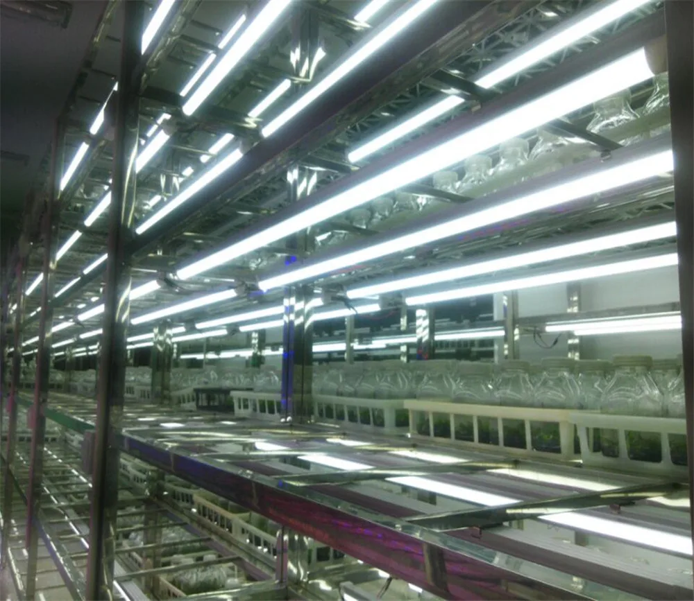 

Super Bright LED Lamp T8 10W LED Tube Light 600mm 0.6m LED Light AC110V 220V 240V SMD 2835 CE&ROSH red blue