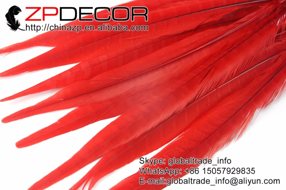 Zpdecor 100 шт./лот 30-35 см(12-14 дюймов) хорошее качество красный окрашенная Ringneck фазана хвост Плюм Перья для карнавальный костюм