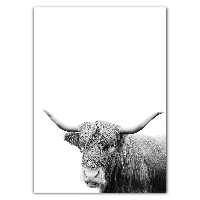 Black White Animals Art Canvas Painting Prints Yak Poster Wall Picture For Living Room Modern Home Decor Unframed YX035 | Дом и сад