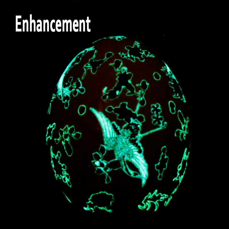 Антикварная светящаяся Ваза яйцо Цзиндэчжэнь с цветами и птицами Керамическая