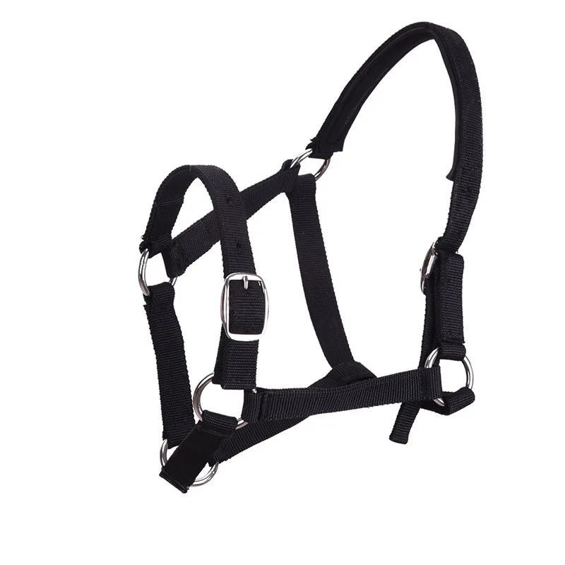 Новое поступление утолщенный плетеный пояс повязка на шею для верховой езды