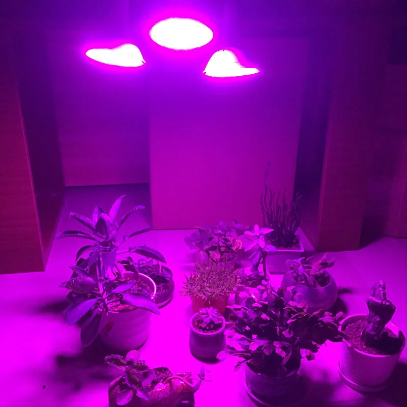 3 головной лампы для теплиц Cultivo семеноводство светильник Growbox светодиодный Grow светильник 290 светодиодный полный спектр для внутренней гидропоники, поставки от прямого производителя с цветочным узором